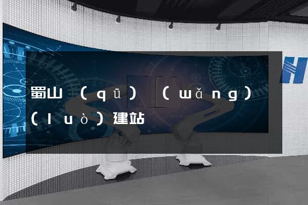 蜀山區(qū)網(wǎng)絡(luò)建站