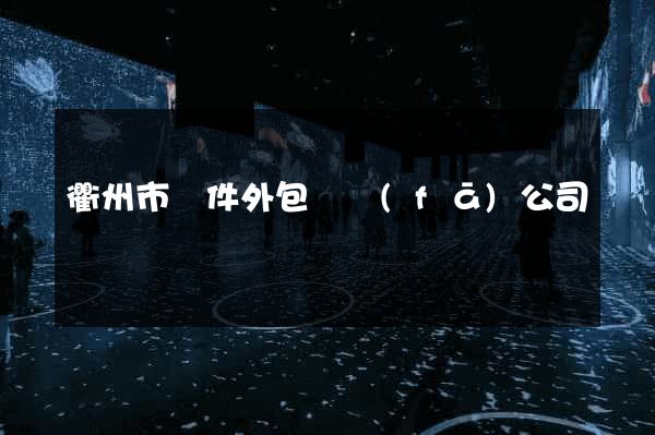 衢州市軟件外包開發(fā)公司