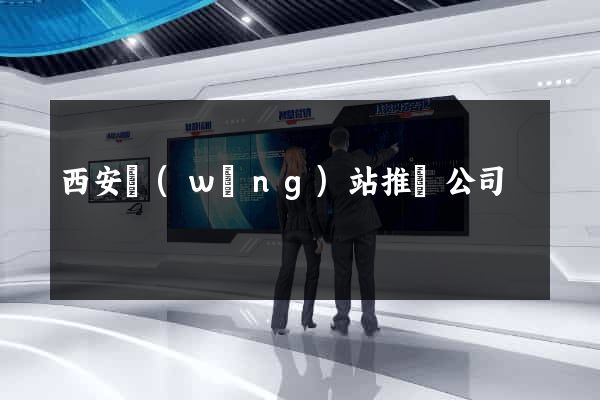 西安網(wǎng)站推廣公司