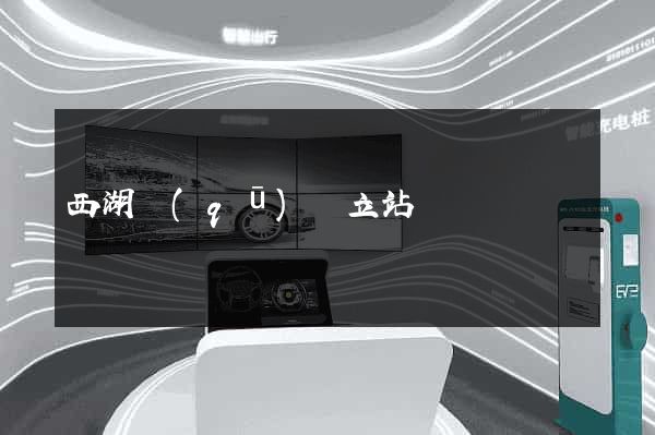 西湖區(qū)獨立站運營