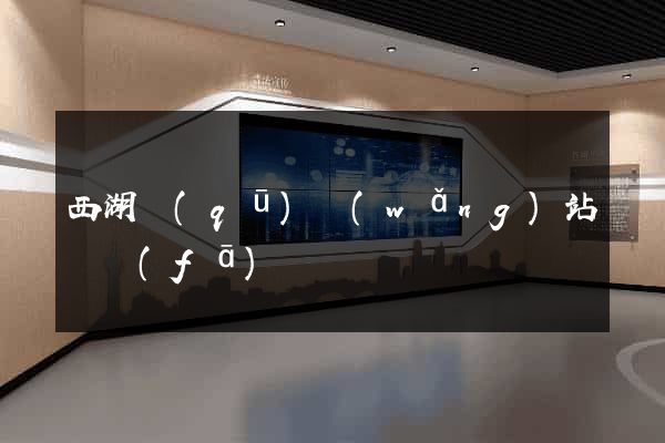 西湖區(qū)網(wǎng)站開發(fā)