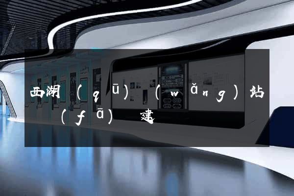 西湖區(qū)網(wǎng)站開發(fā)與建設