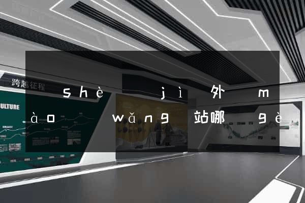 設(shè)計(jì)外貿(mào)網(wǎng)站哪個(gè)好