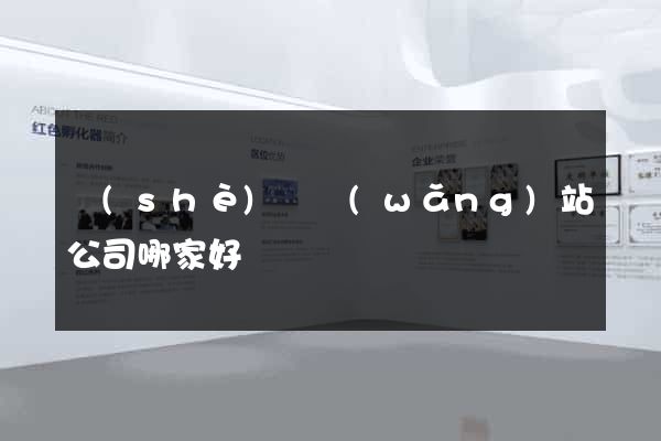 設(shè)計網(wǎng)站公司哪家好