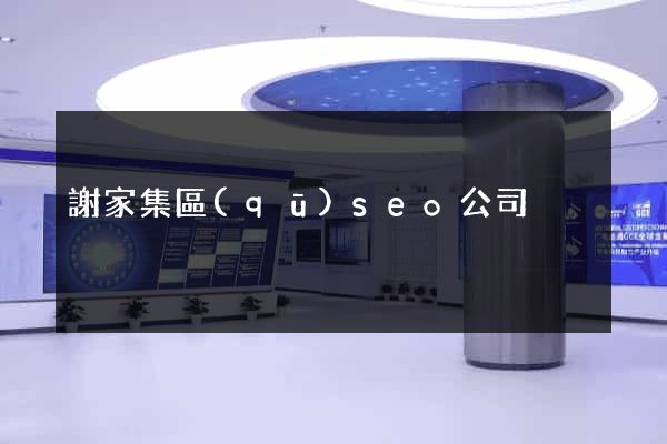 謝家集區(qū)seo公司