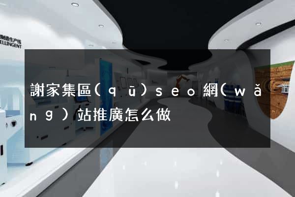 謝家集區(qū)seo網(wǎng)站推廣怎么做