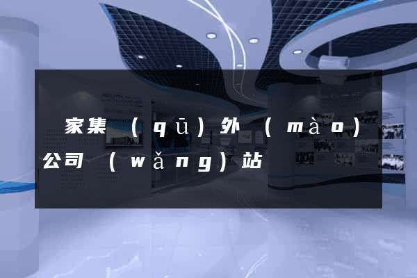 謝家集區(qū)外貿(mào)公司網(wǎng)站