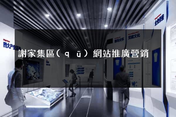 謝家集區(qū)網站推廣營銷