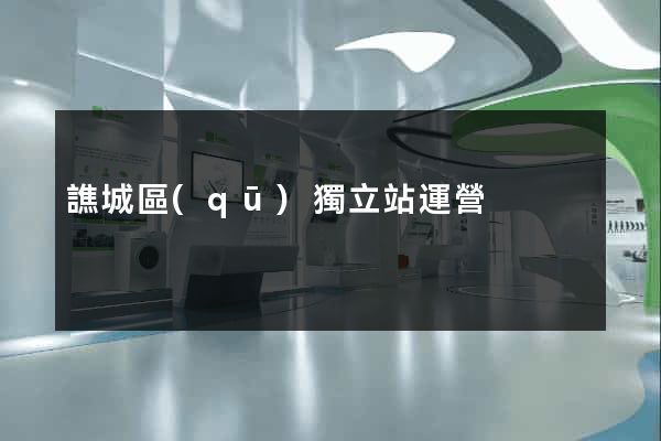 譙城區(qū)獨立站運營