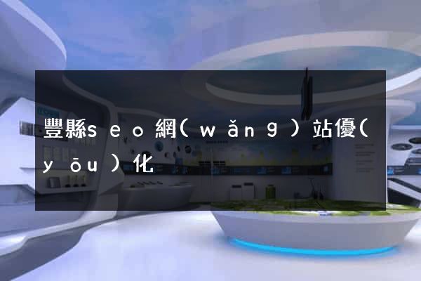 豐縣seo網(wǎng)站優(yōu)化