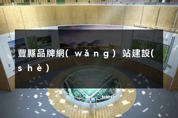 豐縣品牌網(wǎng)站建設(shè)