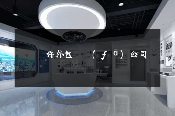 豐縣軟件外包開發(fā)公司