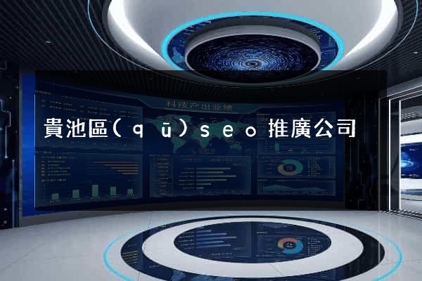 貴池區(qū)seo推廣公司