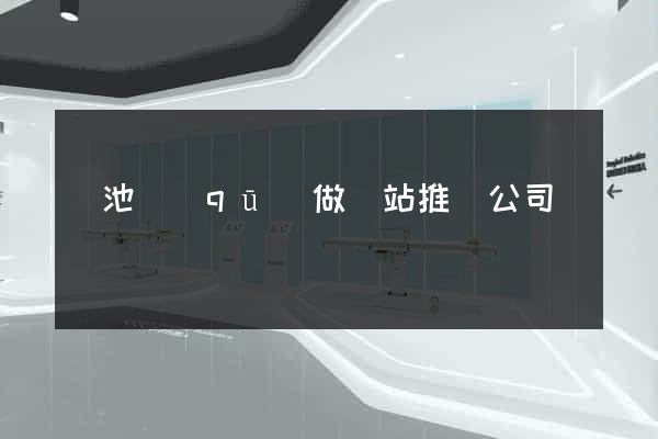 貴池區(qū)做網站推廣公司