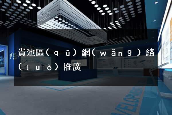 貴池區(qū)網(wǎng)絡(luò)推廣