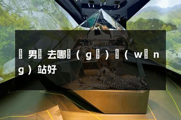 買男裝去哪個(gè)網(wǎng)站好