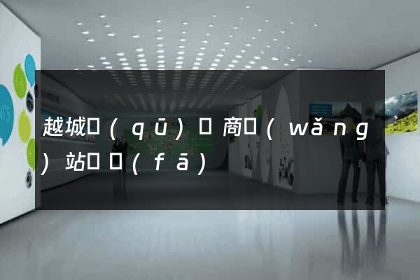 越城區(qū)電商網(wǎng)站開發(fā)