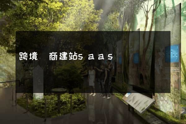跨境電商建站saas
