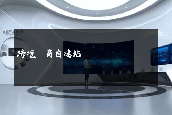 跨境電商自建站