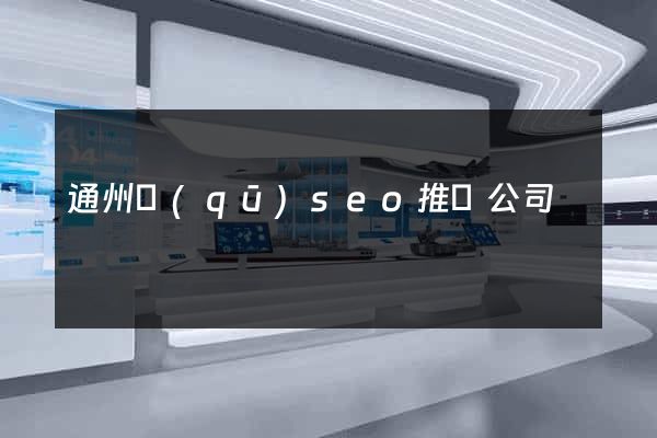 通州區(qū)seo推廣公司