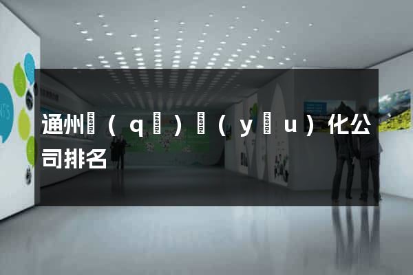 通州區(qū)優(yōu)化公司排名