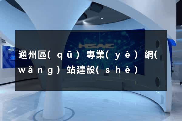 通州區(qū)專業(yè)網(wǎng)站建設(shè)
