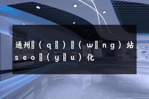 通州區(qū)網(wǎng)站seo優(yōu)化