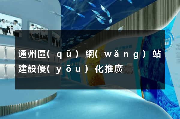 通州區(qū)網(wǎng)站建設優(yōu)化推廣