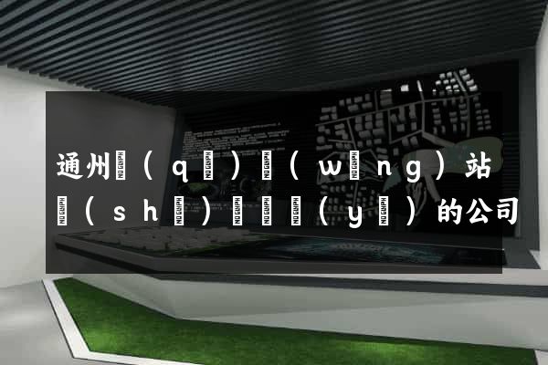 通州區(qū)網(wǎng)站設(shè)計專業(yè)的公司