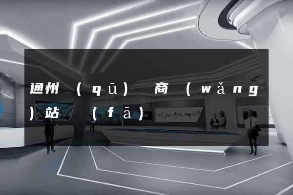 通州區(qū)電商網(wǎng)站開發(fā)