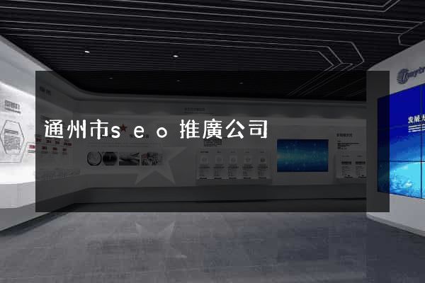 通州市seo推廣公司