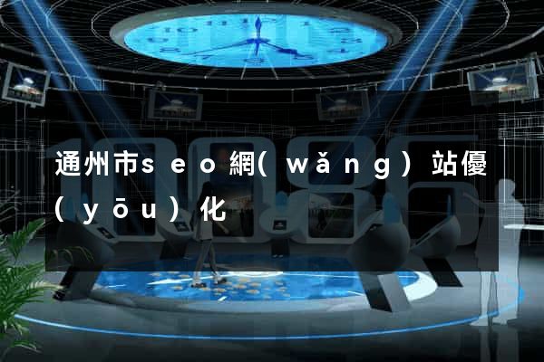 通州市seo網(wǎng)站優(yōu)化