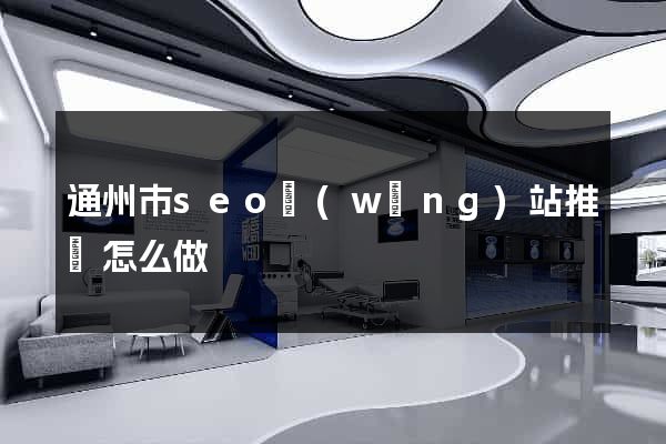 通州市seo網(wǎng)站推廣怎么做