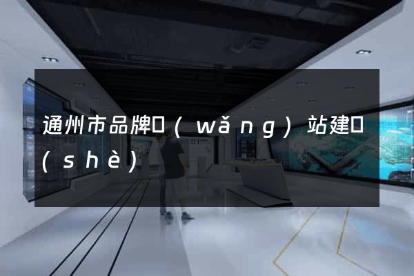 通州市品牌網(wǎng)站建設(shè)