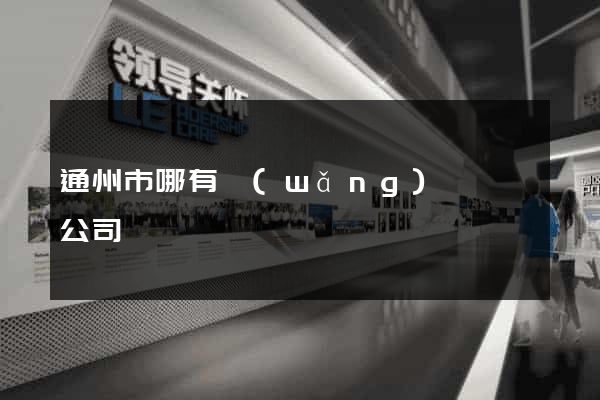 通州市哪有網(wǎng)頁設計公司