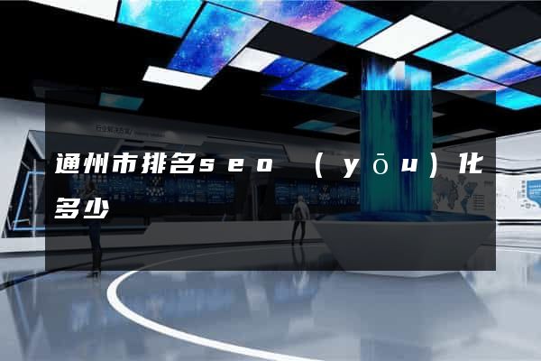 通州市排名seo優(yōu)化多少錢