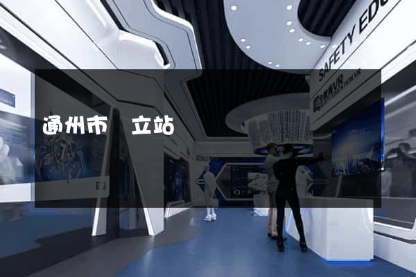 通州市獨立站運營