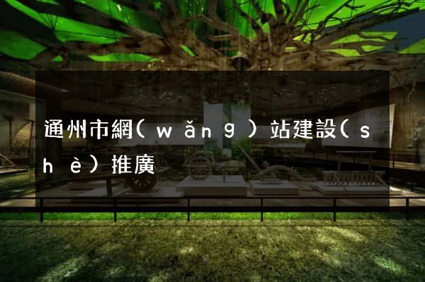 通州市網(wǎng)站建設(shè)推廣