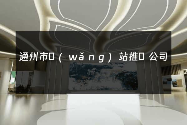 通州市網(wǎng)站推廣公司
