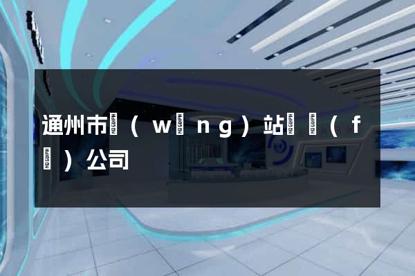 通州市網(wǎng)站開發(fā)公司