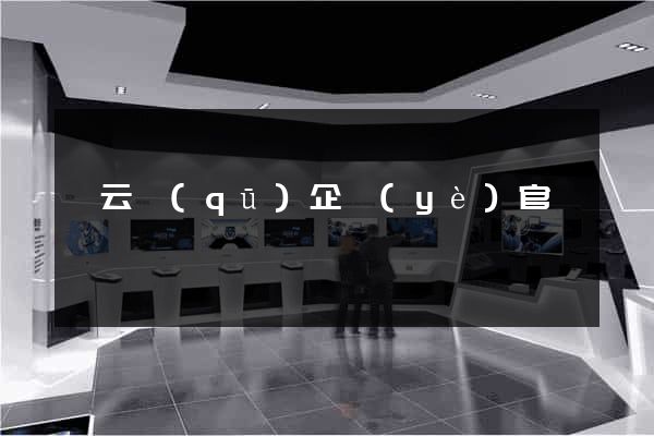 連云區(qū)企業(yè)官網設計