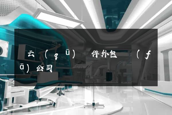 連云區(qū)軟件外包開發(fā)公司