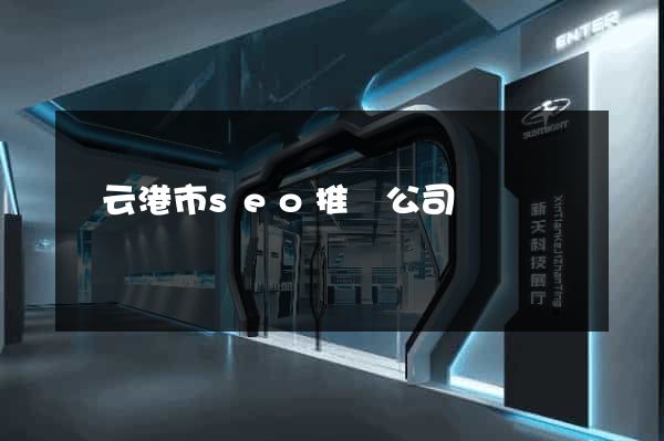 連云港市seo推廣公司