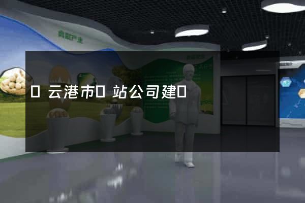 連云港市網站公司建設