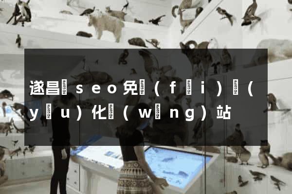 遂昌縣seo免費(fèi)優(yōu)化網(wǎng)站