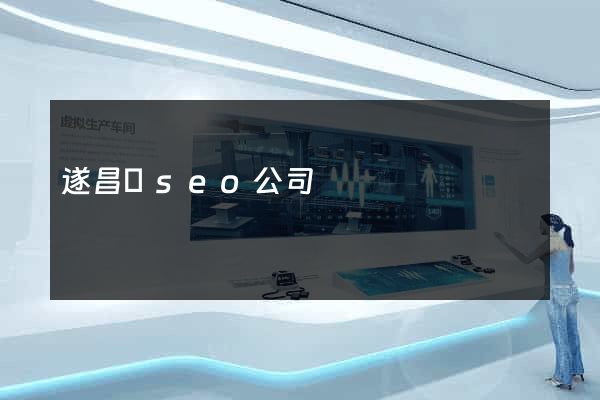 遂昌縣seo公司