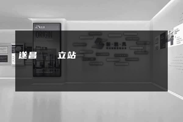 遂昌縣獨立站運營
