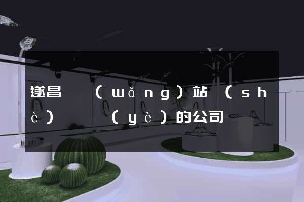 遂昌縣網(wǎng)站設(shè)計專業(yè)的公司