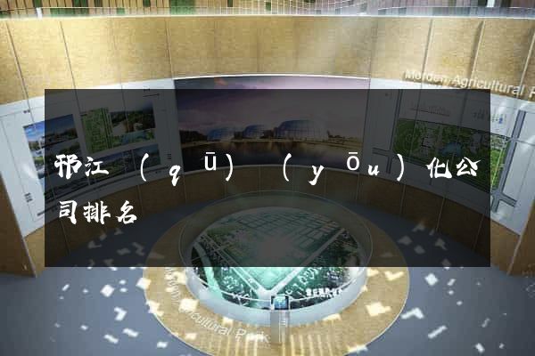 邗江區(qū)優(yōu)化公司排名