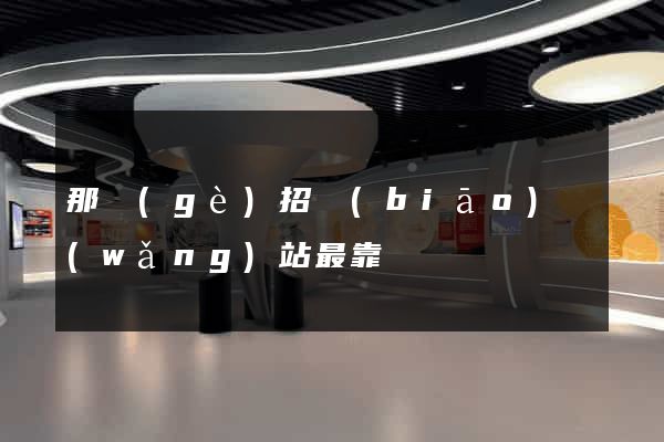 那個(gè)招標(biāo)網(wǎng)站最靠譜